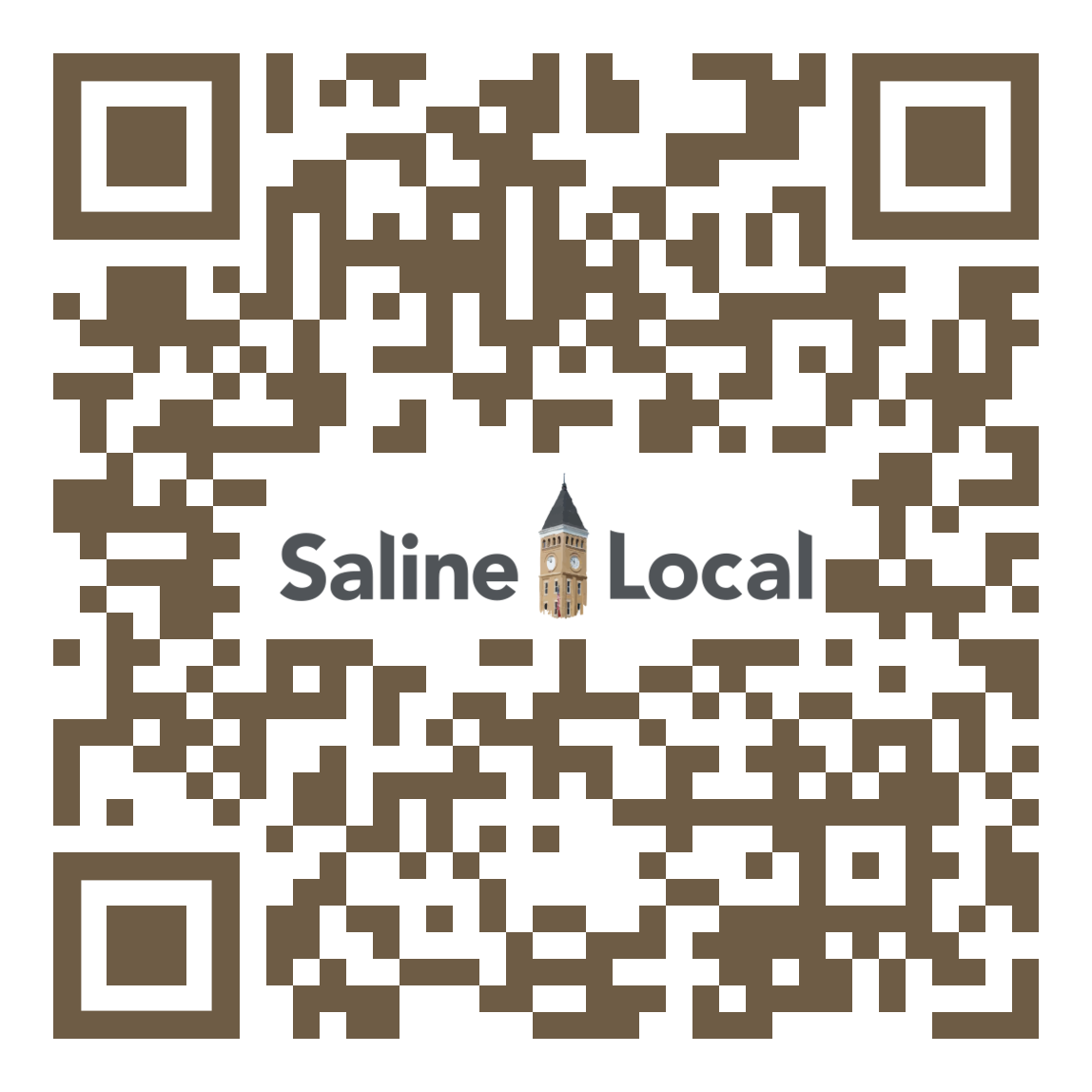 Saline Local Design DataBiz Card